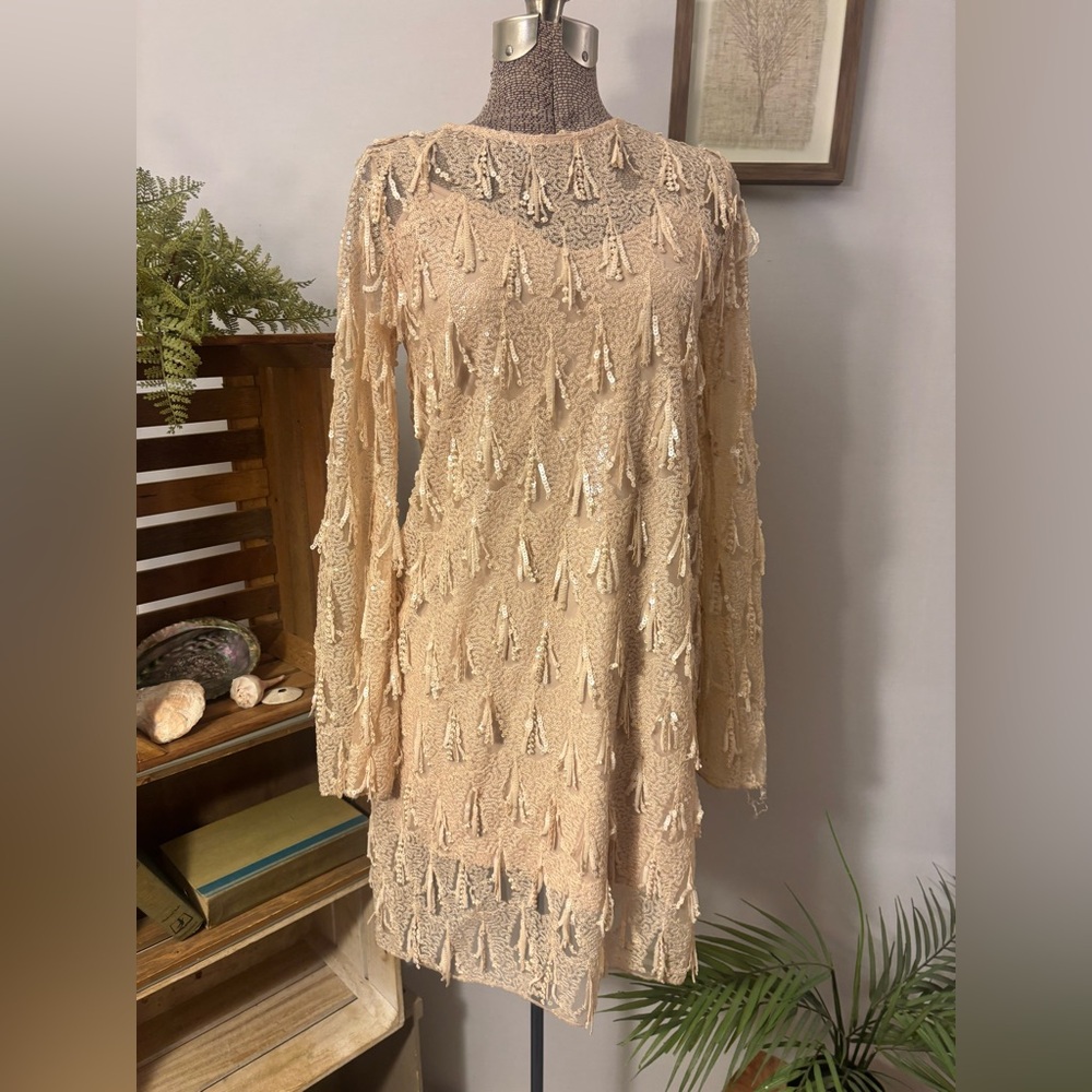 Zara Champagne Sequin Tassel Fringe Shift Silhouette Mini Dress XXS Formal